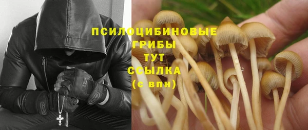 первитин Абинск