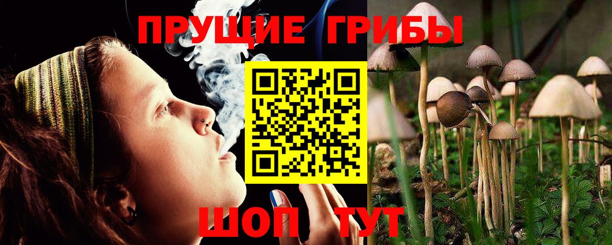 Псилоцибиновые грибы GOLDEN TEACHER  Вход с VPN  Советский  Галлюциногенные грибы Cubensis 
