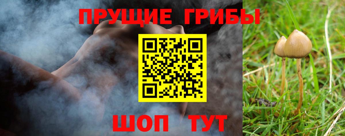 Советский  Галлюциногенные грибы Psilocybe  Вход с VPN  Галлюциногенные грибы мицелий 